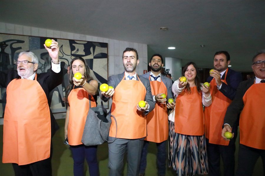 "Candidaturas laranjas" levam à cassação de toda a chapa, determina TSE