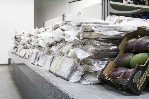 Polícia Civil do Ceará apreende 607 quilos de cocaína, a apreensão é a maior já realizada pelo órgão
