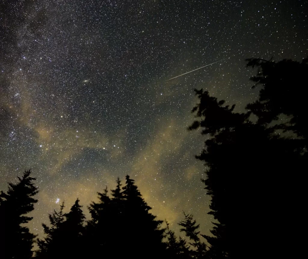 Rastro de um meteoro cruza o céu estrelado com a Via Láctea ao fundo e silhuetas de árvores em primeiro plano