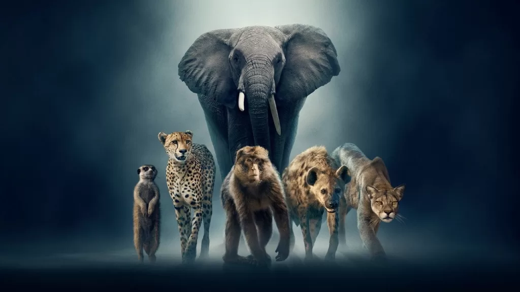 Elefante, guepardos e outros animais selvagens reunidos sob um feixe de luz em fundo escuro, em arte de divulgação da série documental Dinastias